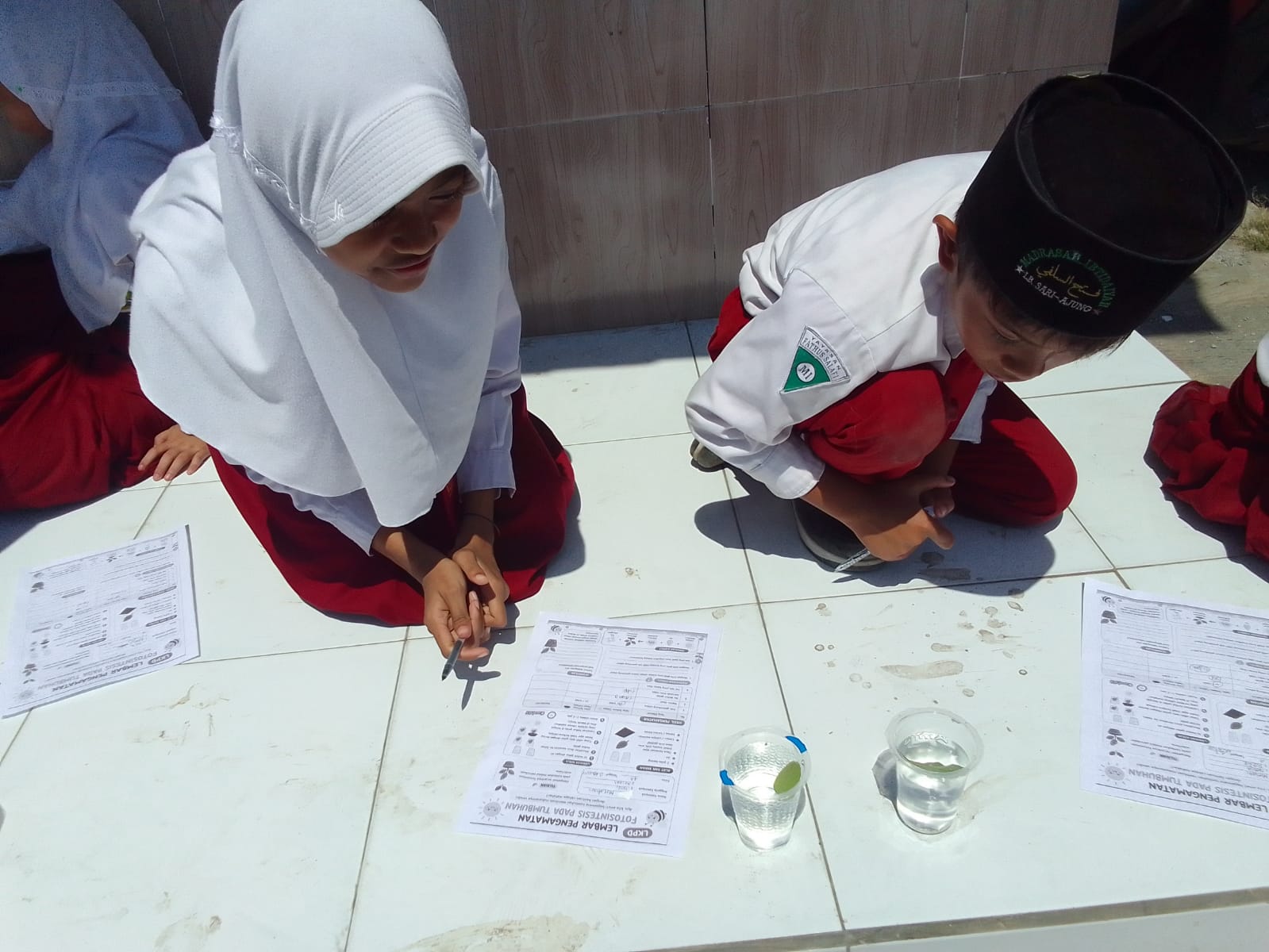 Praktek Fotosintesis Kelas 4A